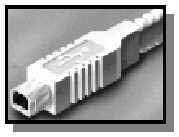 Шина USB - Шины расширения - Железо - Программирование, исходники, операционные системы